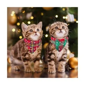 ADOGGYGO Christmas Cat Collars Breakaway with Bell 2 Pack_3