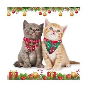 ADOGGYGO Christmas Cat Collars Breakaway with Bell 2 Pack_4