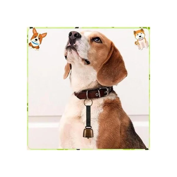 3 campanas para perro con correa de nailon 3 unidades_6