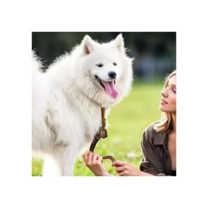 3 campanas para perro con correa de nailon 3 unidades_4