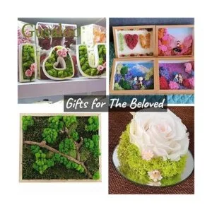 Musgo artificial preservado de 3.5 onzas para plantas en_5