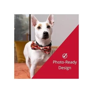 Huxley Kent Pajarita para mascotas Pajarita con leche_3