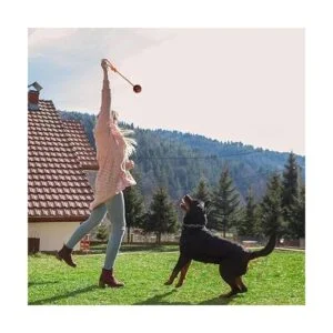 Nevperish Pelota de entrenamiento K9 con cuerda de_5