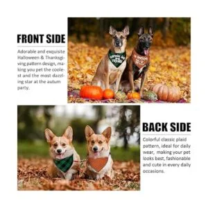 Paquete de 3 pañuelos de Acción de Gracias diseño clásico_4