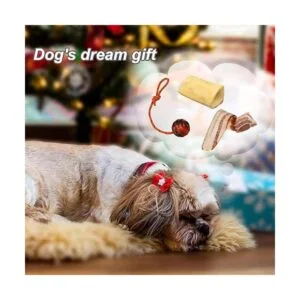 Nevperish Pelota de entrenamiento K9 con cuerda de_7