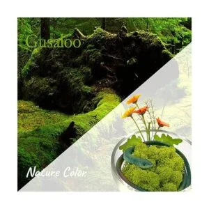 Musgo artificial preservado de 3.5 onzas para plantas en_2