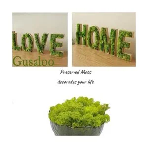Musgo artificial preservado de 3.5 onzas para plantas en_3