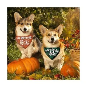 Paquete de 3 pañuelos de Acción de Gracias diseño clásico_5