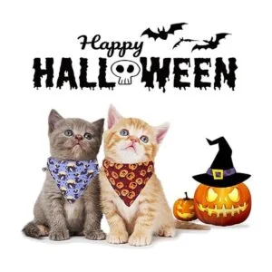 ADOGGYGO Collares para gatos de Halloween con campana_3
