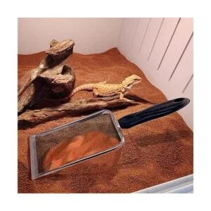Casidoxi Cuchara de sustrato de arena de reptiles de acero_6