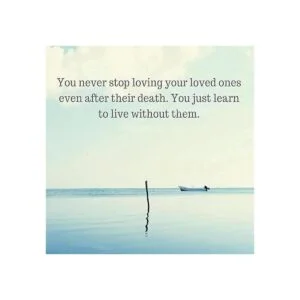 Tubo pequeño de urna dispersadora de bambú para cenizas_7