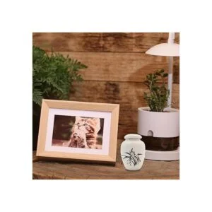 Mini urnas de colibrí para cenizas adultas soportes de_6