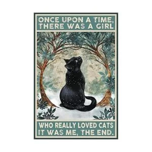 Black Cat Once Upon a Time There was a Girl Who Really_1