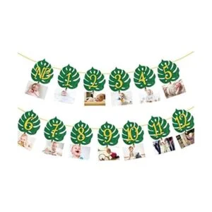 Bandera tropical de 12 meses de hoja 1er cumpleaños con_1