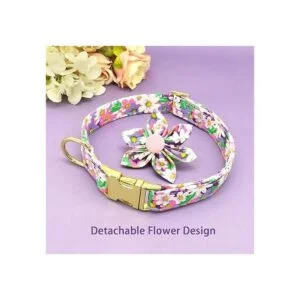 Collar de perro femenino para perros_4