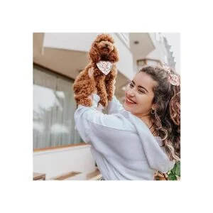 Juego de pañuelos para perros y coleteros a juego baberos_2