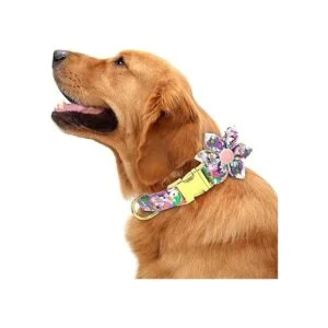 Collar de perro femenino para perros_2