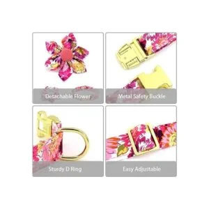 Collar de perro femenino para perros_5