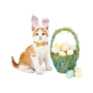 ADOGGYGO Paquete de 2 collares de gato de Pascua con_3