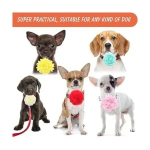 AngleKai 20 flores para perros 2 en 1 lazos para_5