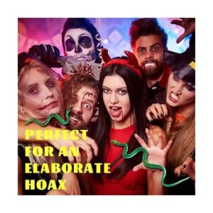 Serpientes falsas 12 en 1 superrealistas 12 piezas de 3_2