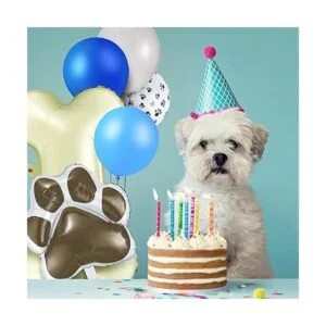 46 globos de decoración con temática de perro incluyen 3_4
