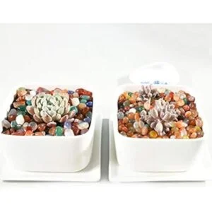 Amazmeet Piedras decorativas redondas pulidas piedra de_4