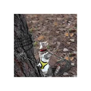 RYPET Correa larga reflectante para gatos 15 pies a_6