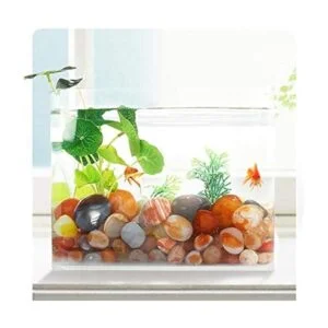 Amazmeet Piedras decorativas redondas pulidas piedra de_5