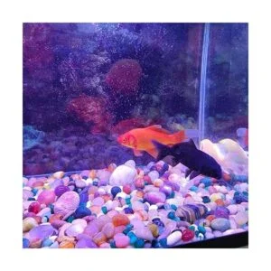 Amazmeet Piedras decorativas redondas pulidas piedra de_7