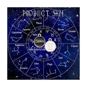 Henoyso 72 dijes de signo del zodiaco redondos de metal_6