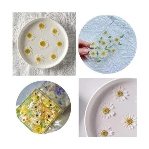 50 flores secas naturales embalaje al vacío flor_3