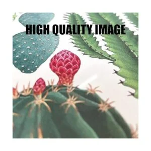 BEASTZHENG letrero rústico para baño con texto en inglés_5