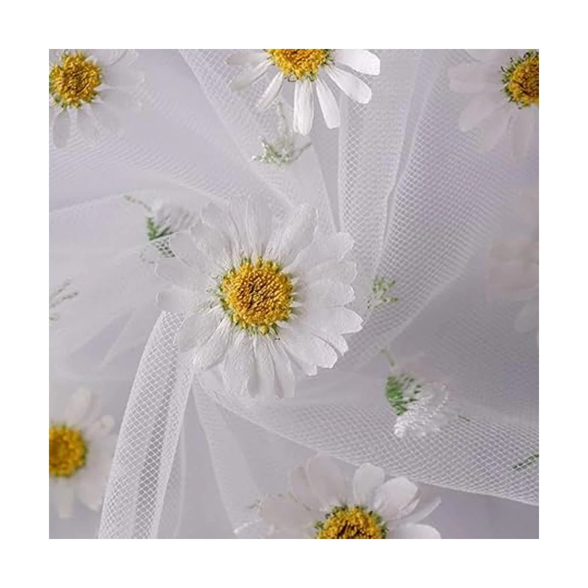 50 flores secas naturales embalaje al vacío flor_4