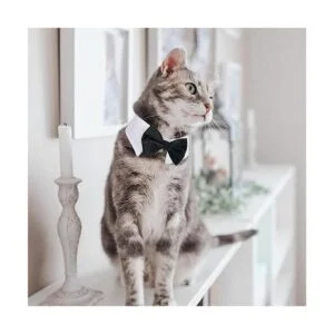 Casidoxi Dog Cat Tuxedo Collar Cat Wedding Bowtie Puppy_5