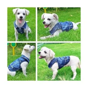 LKEX Chaqueta de mezclilla para perro camisa de mezclilla_2