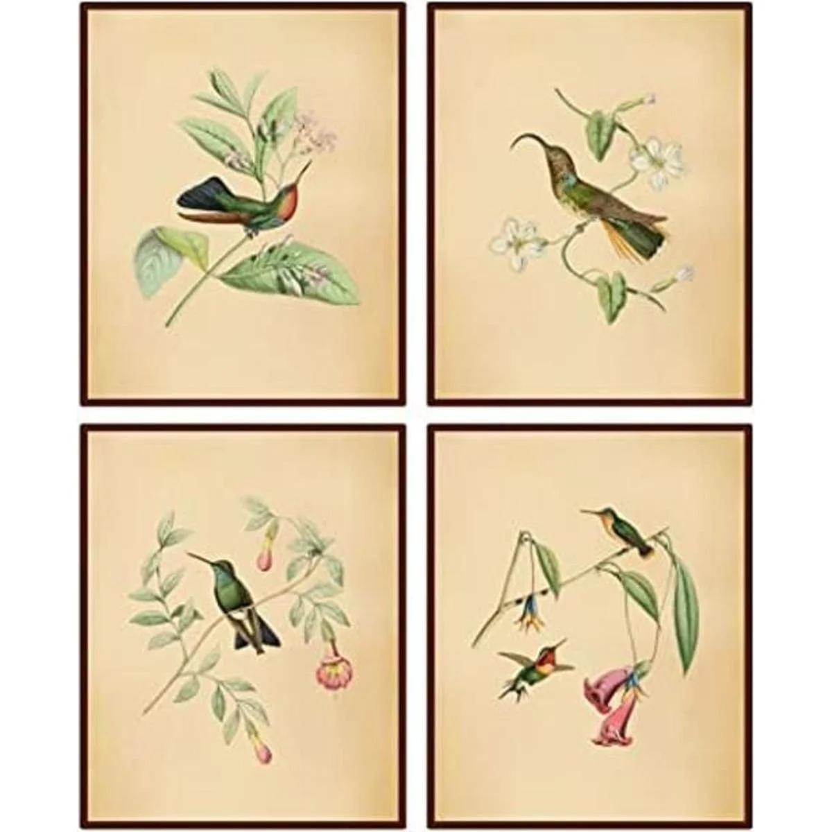 Lienzo botánico de pájaros vintage estampado de pájaros_1