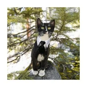 Casidoxi Dog Cat Tuxedo Collar Cat Wedding Bowtie Puppy_6