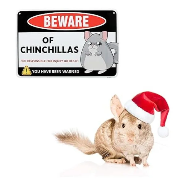 Venicor Chinchillas Decoración de letrero 8 x 12_6