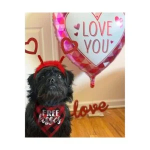 Disfraz de perro para el día de San Valentín diadema de_2