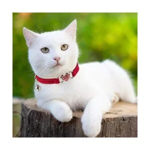 Weewooday Collar de gato con diamantes de imitación_7