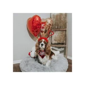 Disfraz de perro para el día de San Valentín diadema de_3