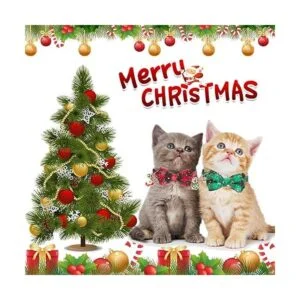 ADOGGYGO Collar de gato de Navidad con bonita campana de_3