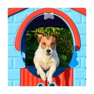 30 etiquetas de sublimación en blanco para perro llavero_6