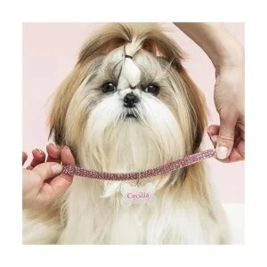 30 etiquetas de sublimación en blanco para perro llavero_7