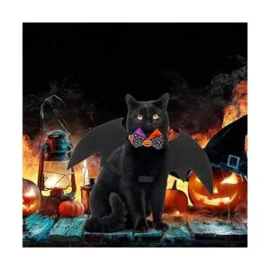 Alycwint Disfraz de gato de Halloween con alas de_7