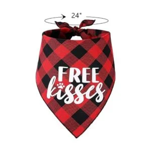 Disfraz de perro para el día de San Valentín diadema de_5