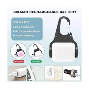 Luces de perro para caminar por la noche con clip_6