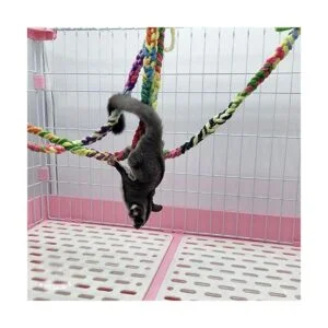 RIOUSSI Juguetes de azúcar hechos a mano para_3