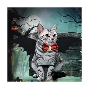 Alycwint Disfraz de gato de Halloween con alas de_6